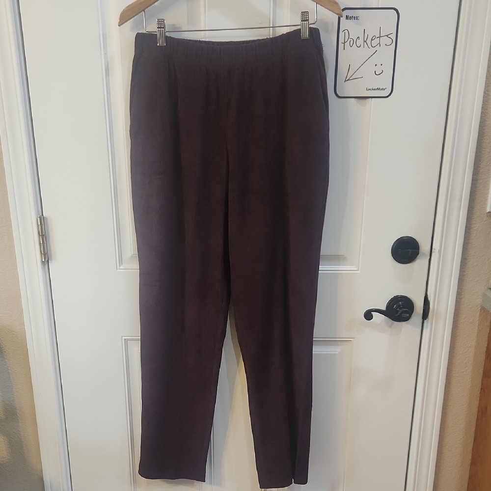 NWOT Lands' End Plum Pull On Pants